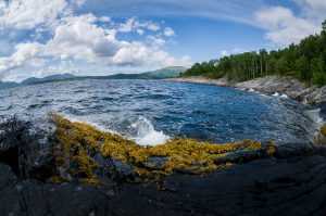 _DSC9601