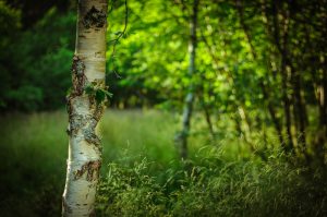 _DSC3439