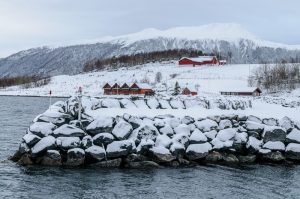 _DSC4764