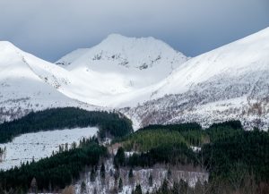 _DSF0342